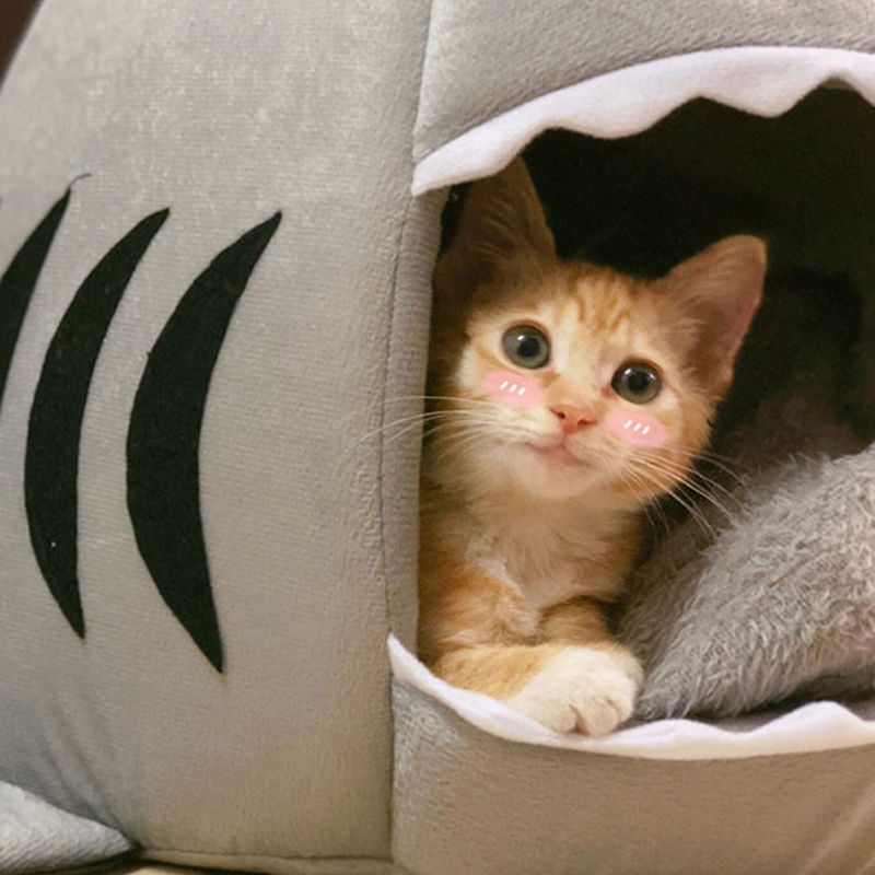 Shark Cat House Pet Soft Bed Basket Dog Cushion Cute Katten Tent Small Medium Puppy Sleeping Bed Warm Puppy Kennel Nest Mat