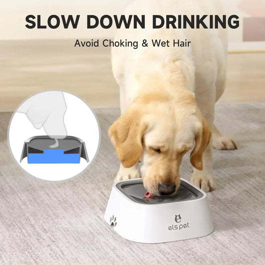 Spill Proof Pet Bowl Slow Feeder Cat Bowl